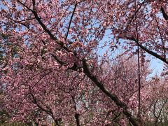 -白塘生态植物园