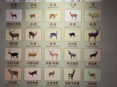 -北京麋鹿生态实验中心