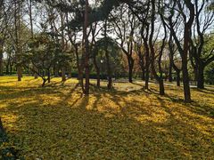 -玲珑塔公园