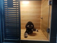 -宠物之家Pets Home 宠物寄养酒店