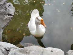 -龙华寺