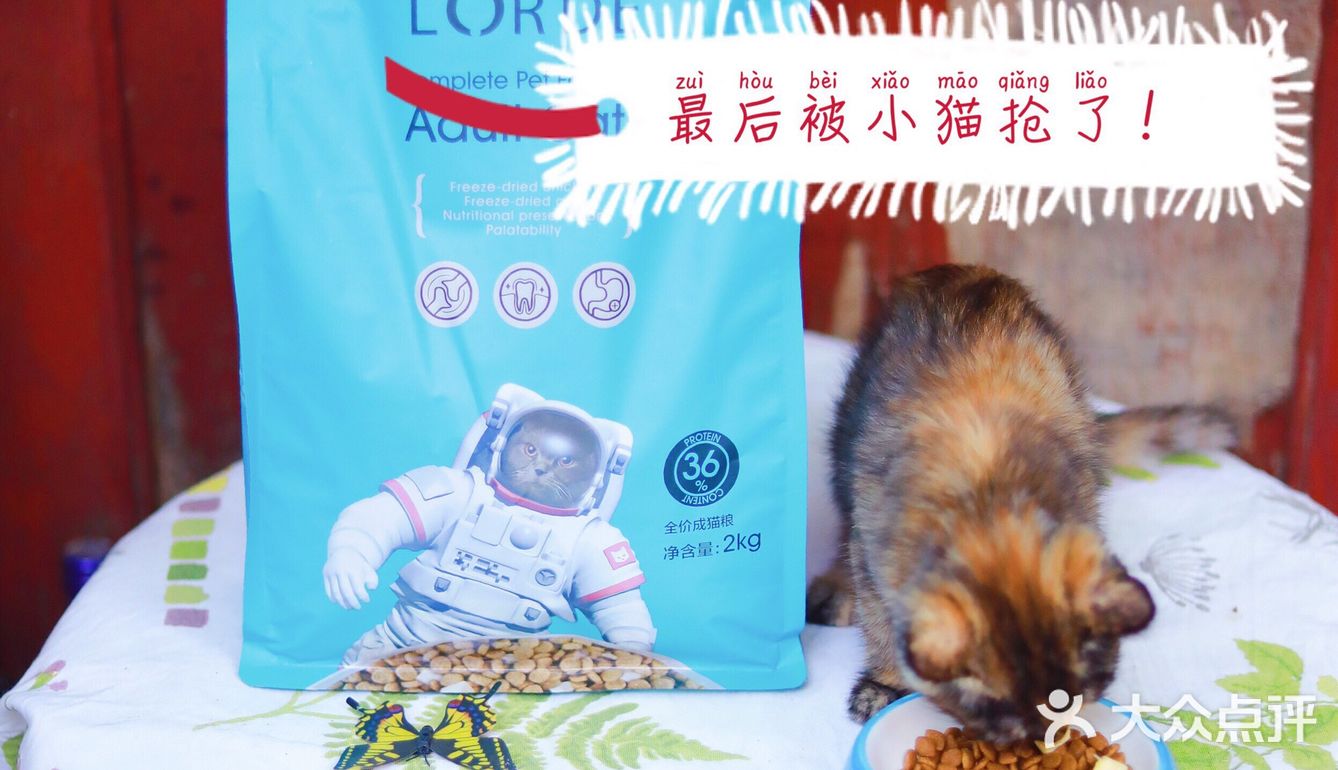 🐈养宠科普 | 国产网红猫粮评测报告！