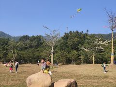 -田心森林公园