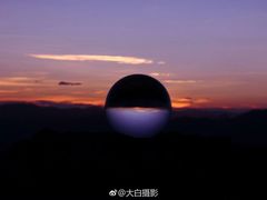 -长虫山生态公园风景林