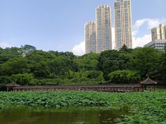 -龙头寺公园