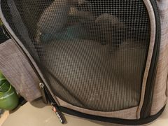 -宠物家(双井店)