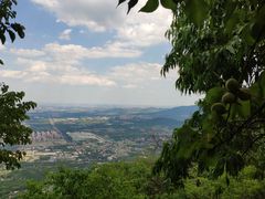 -阳台山自然风景区