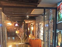 -长藤鬼校(龙翔店)