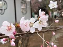-锦绣公园
