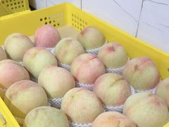 -老袁家蜜桃农场·阳山水蜜桃