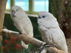 -海合安武汉极地海洋公园