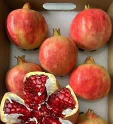 -雅曼妮spa美容养生