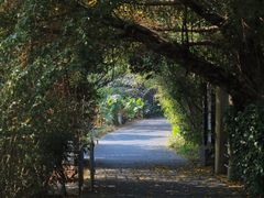 -华侨城湿地公园