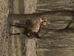 iphone_upload_pic-溱湖国家湿地公园