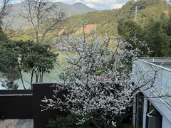 -原乡芦茨咖啡