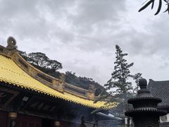-普陀山风景区-佛顶山