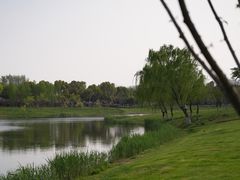 -贡湖湾湿地公园