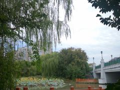 -新江湾城公园