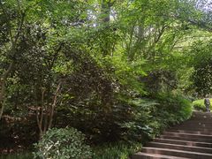 -杭州半山国家森林公园