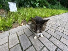-静安公园(静安寺街道)