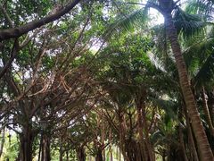 -白沙门生态公园