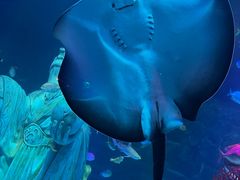 -沈阳海洋探索中心