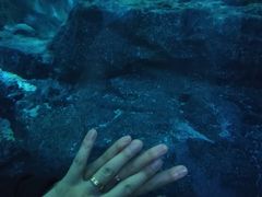 -暹罗海洋世界