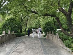 -皇藏峪国家森林公园