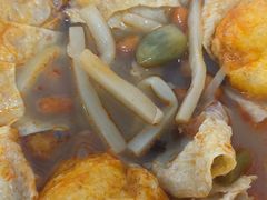 -泉州海丝野生动物世界