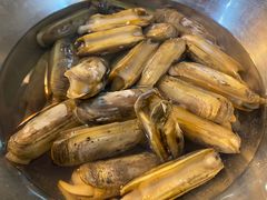 -金砂阿洲鱼册店