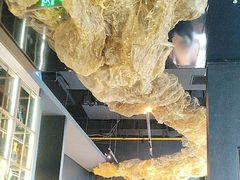 -顶特勒·黄鱼馆·特色菜(上海大世界店)