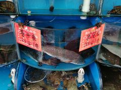 -北戴河庆山饭店·海鲜砂锅粥(北戴河黑石路店)