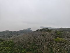-普陀山慧济禅寺