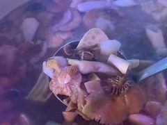 -山菌美食苑(振兴路店)