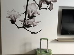 -白玉兰苏州观前街平江路酒店