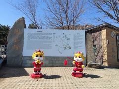 -北京凤凰岭