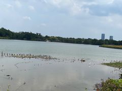 -海珠湖公园