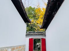 -西园戒幢律寺