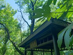 -句容茅山景区