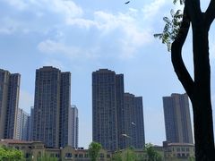 -府河摄影公园