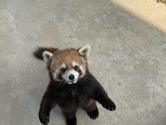 -杭州野生动物世界
