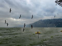 -海埂大坝