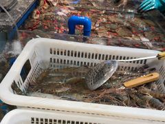 -一方渔歌蒸汽海鲜自助(文化路万达广场店)