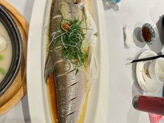 -新雅粤菜馆(南京东路店)