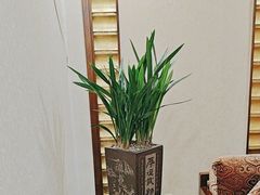 -顺峰(阜成店)