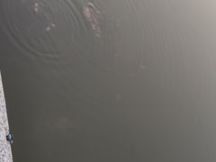 -哈尔滨师范大学(松北校区)