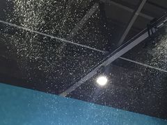 -Mr·Kuma酷么先生雪之乐园