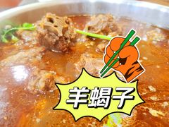 -老诚一锅·羊蝎子(广渠门外店)