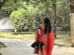 -西安青龙寺遗址景区