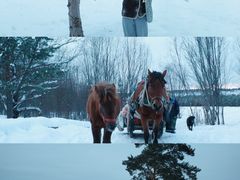 -北极村旅游风景区